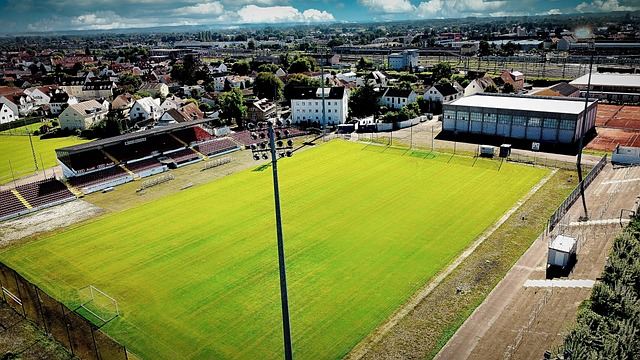 的策略书写 的策略书写